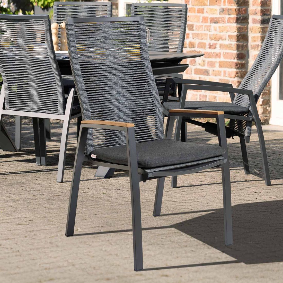 Interliving 7012 Armchair Aluminium/Rope (Variant)